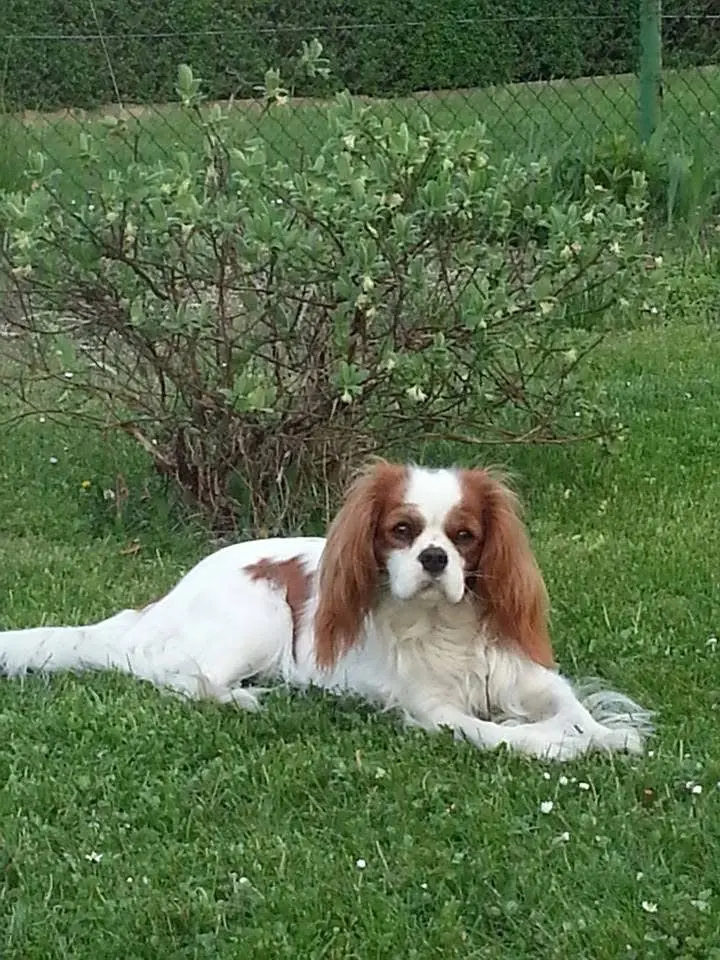 Bild von Bonnie