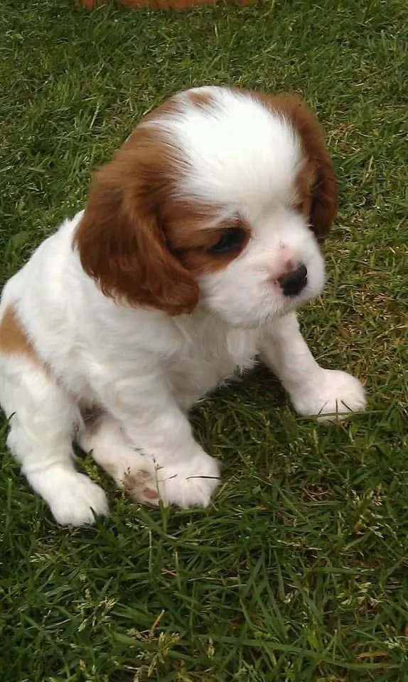 Bild von Bonnie