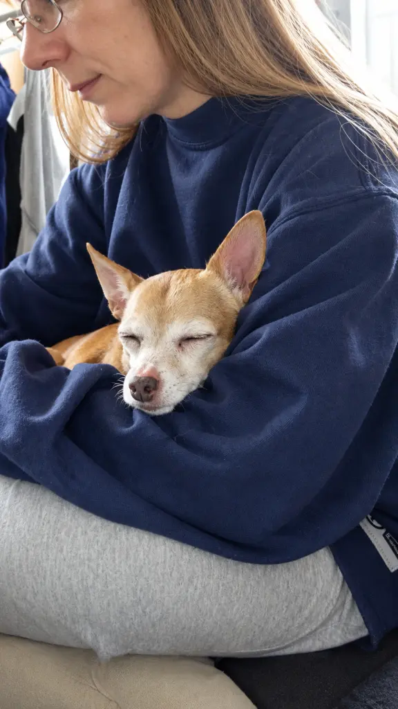 Bild von Mylo