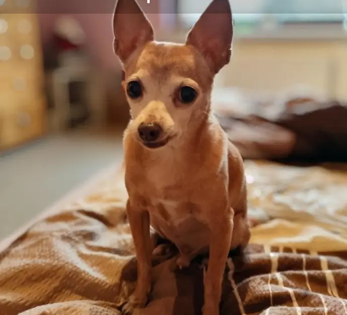 Bild von Mylo