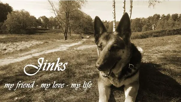 Image from Jinks