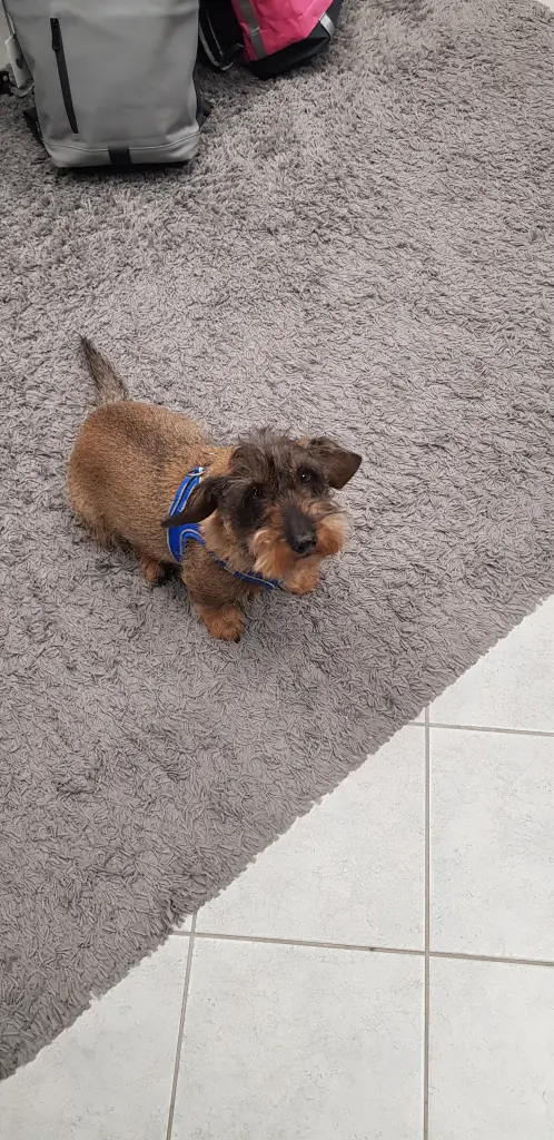 🥰