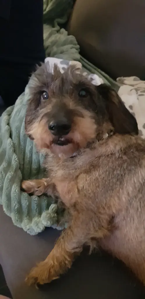 ❤