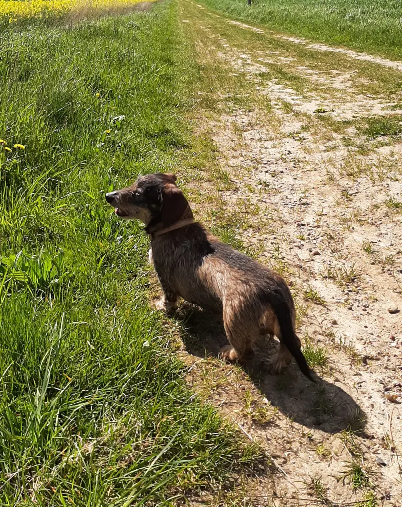 Bild von Elli