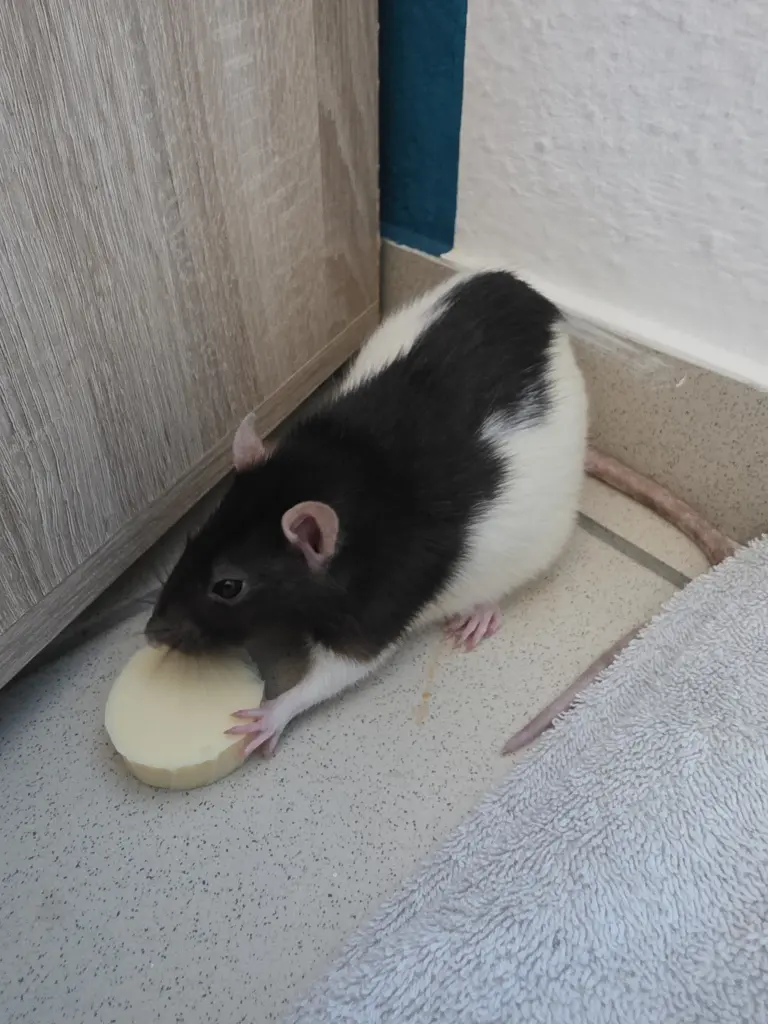 Mmh lecker 😋