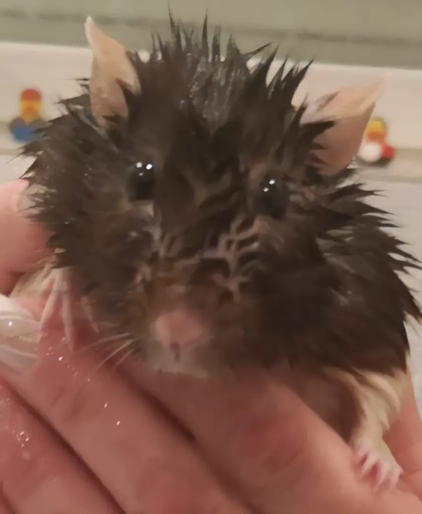 Badezeit 😅