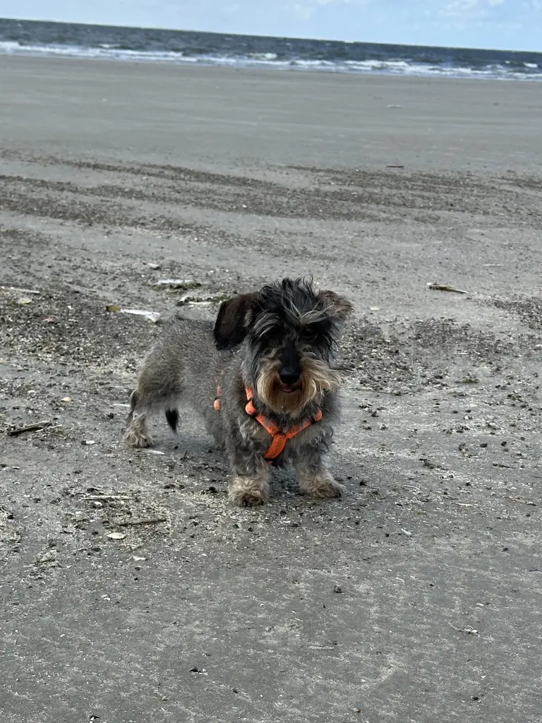 Bild von Karla
