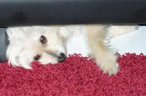 Image from Daisy the best forever:-*