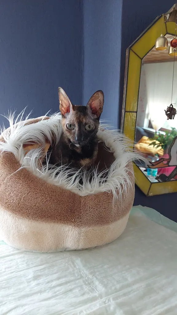 Bild von Mila