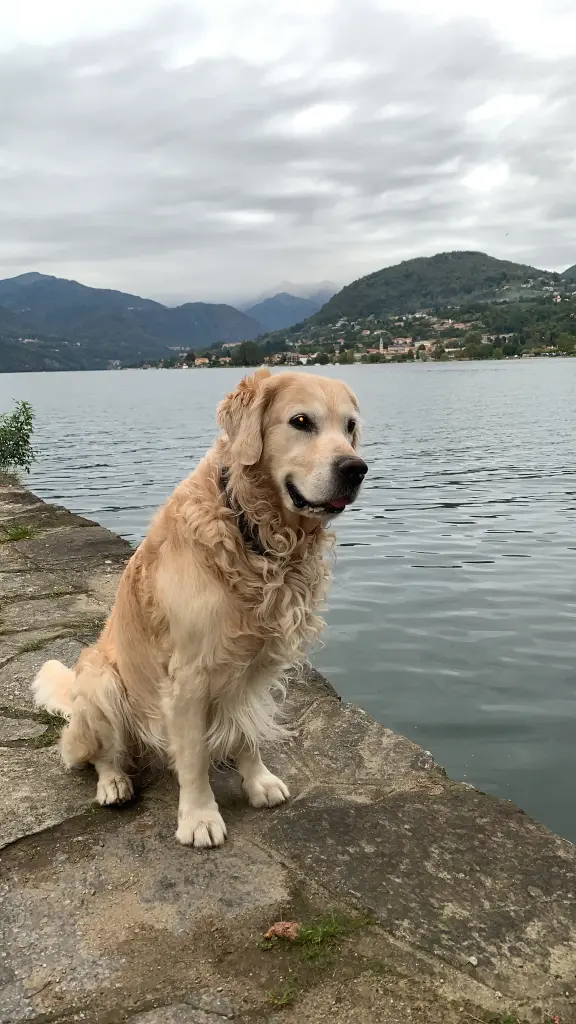 Bild von Rudi