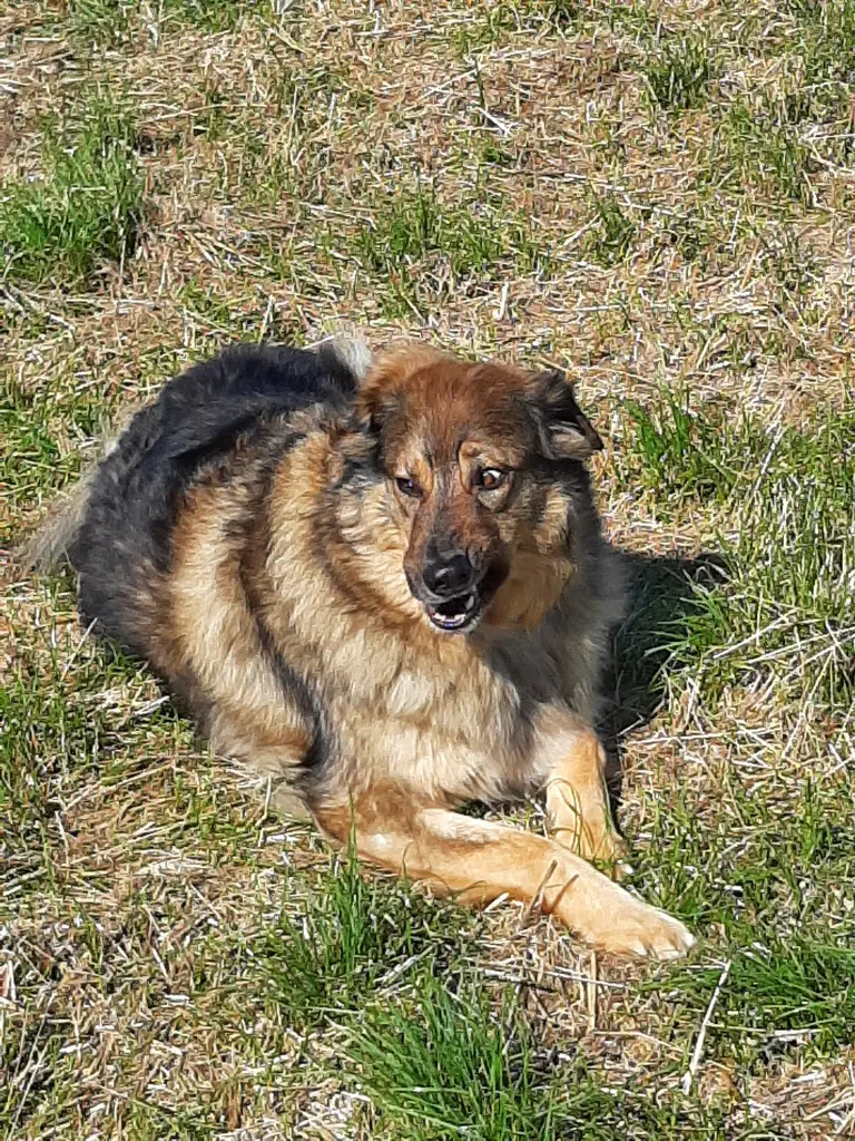 Bild von Teddy