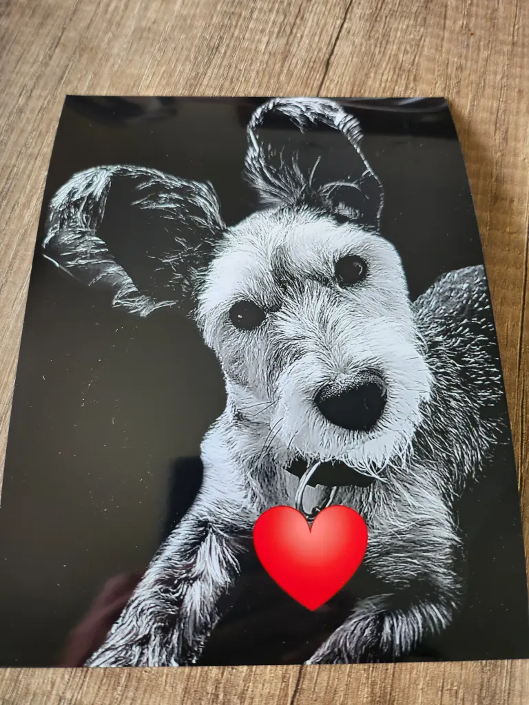 Bild von Max