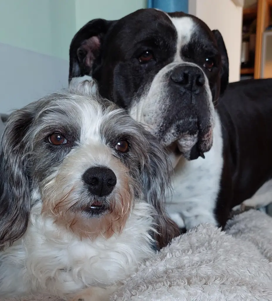 Paul und Molly