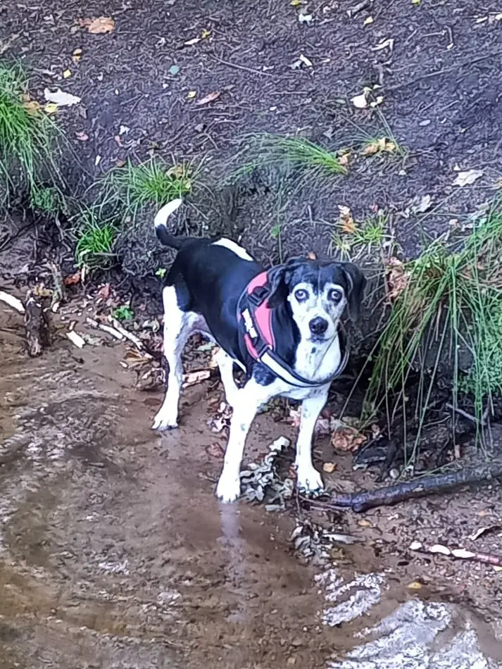 Bild von amy