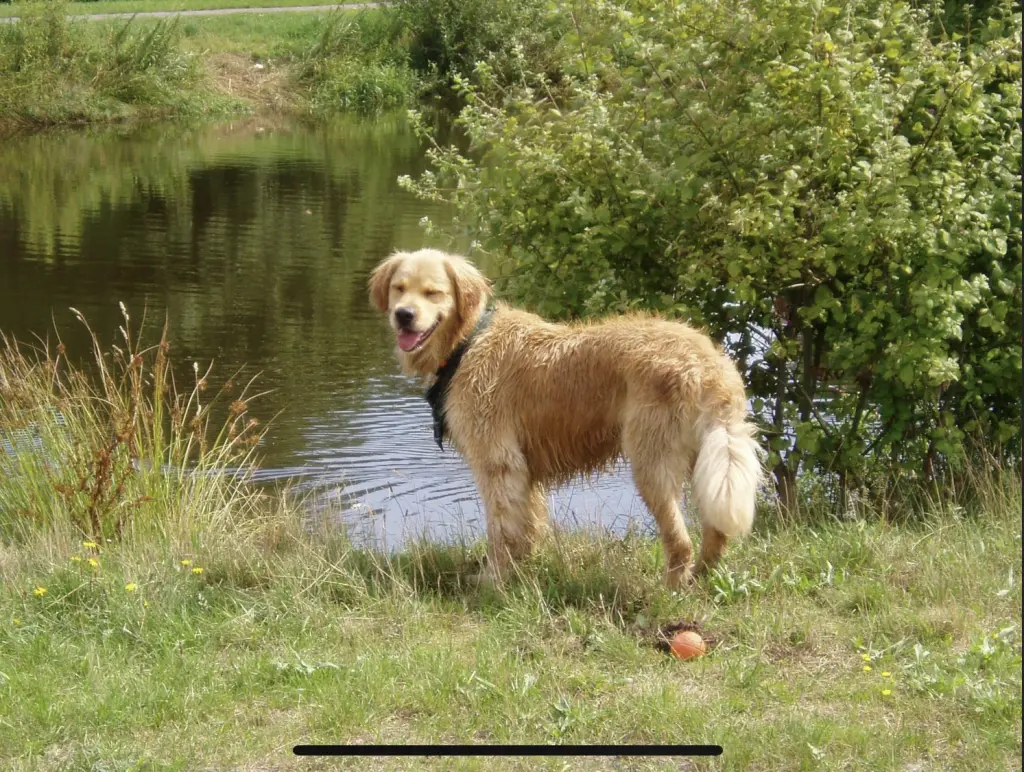 Pluto ❤️ 2005