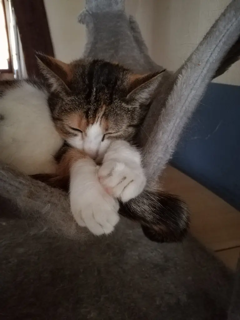 Bild von Wendy