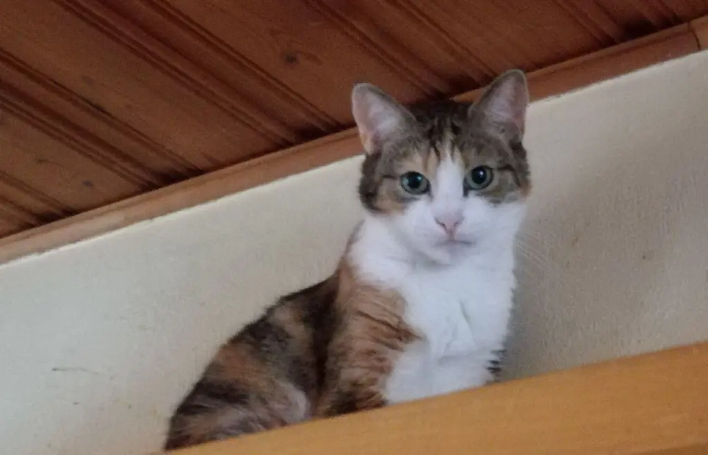 Bild von Wendy