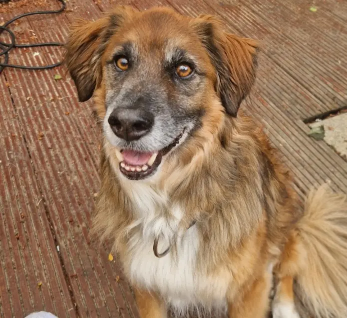 Bild von Teddy