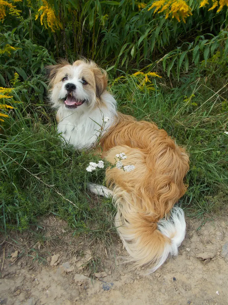 Bild von Marley