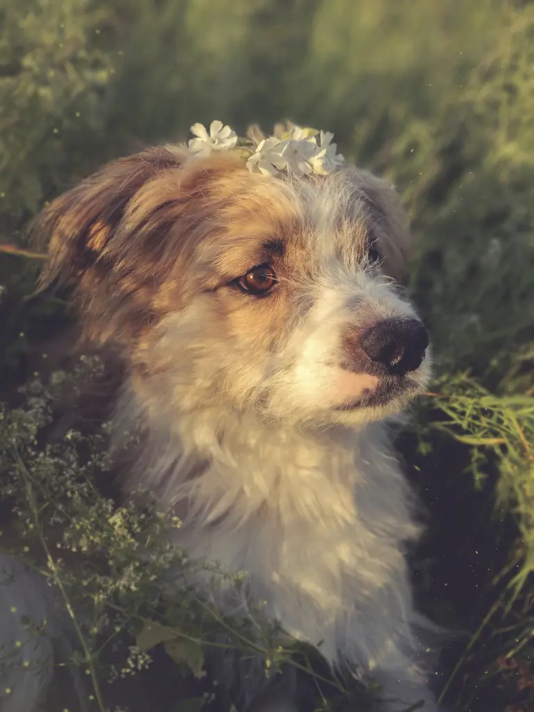 Bild von Marley