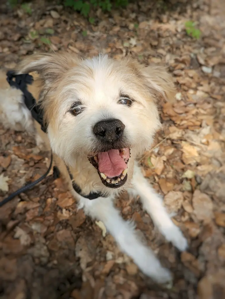 Bild von Marley
