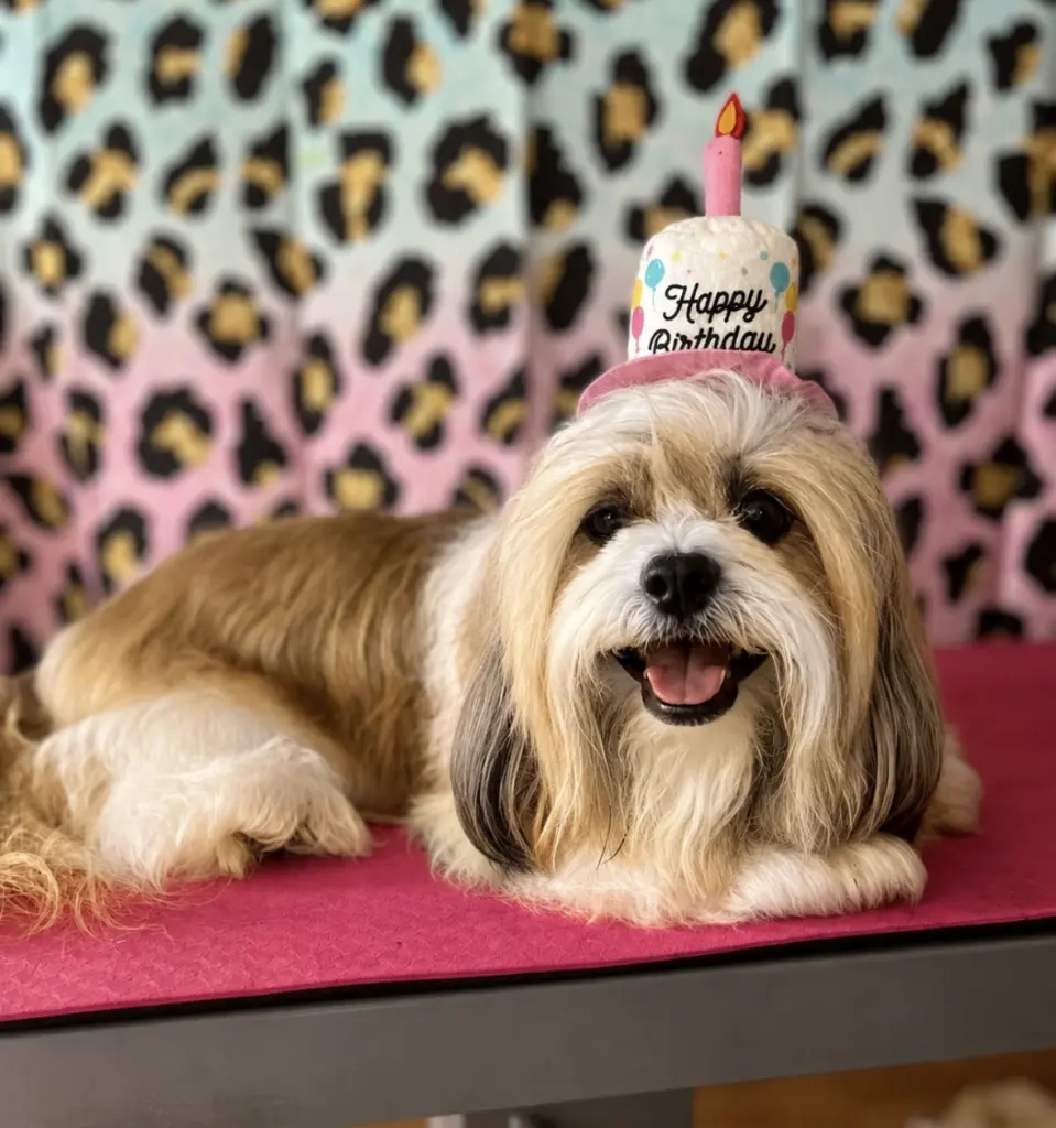 Happy 20th birthday Sammy