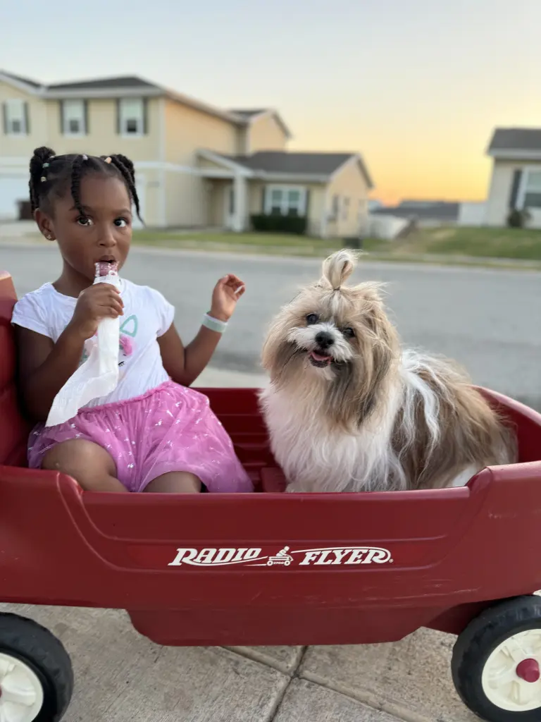 Sammy and saku on adventure
