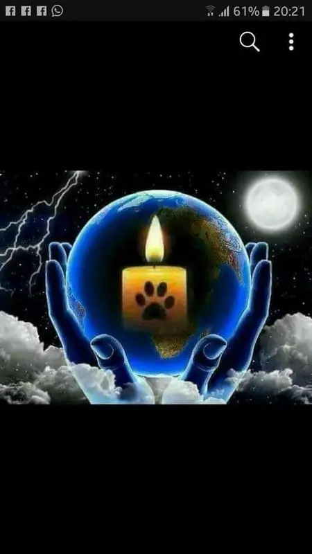Condolence image of gaby