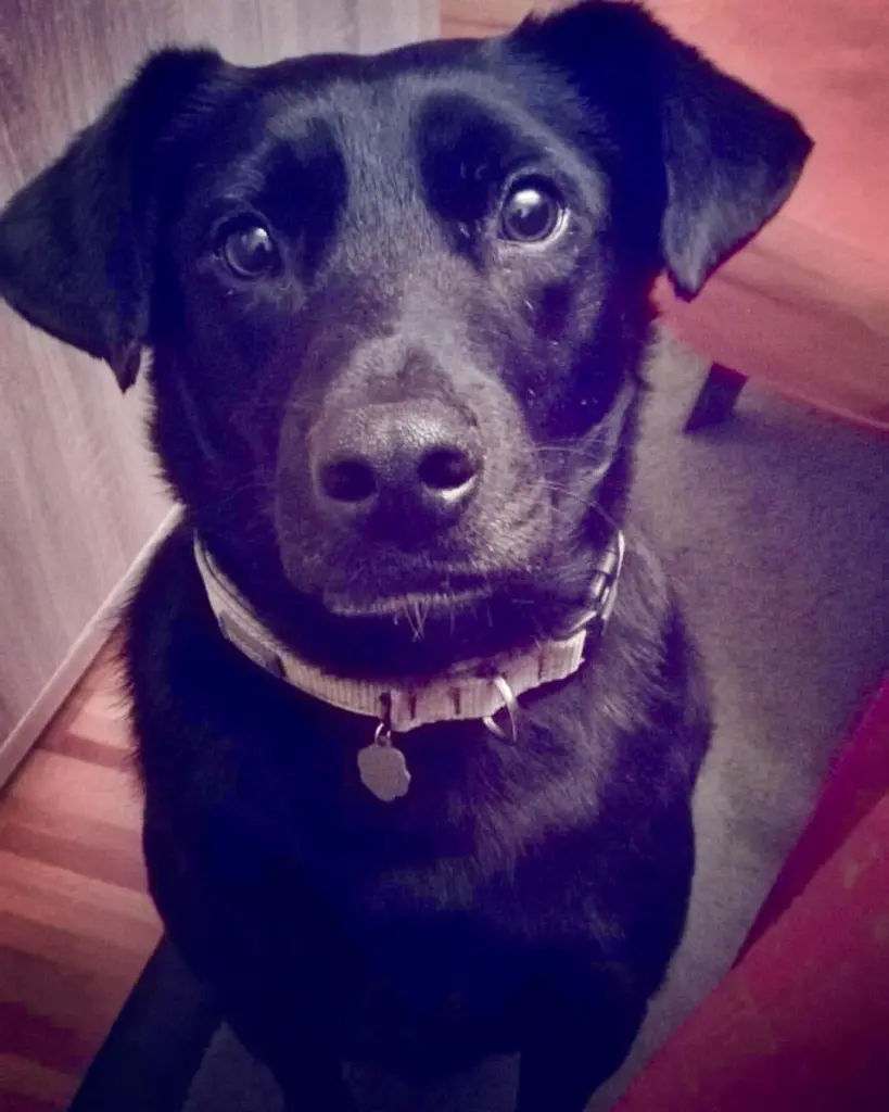 Bild von Midnight