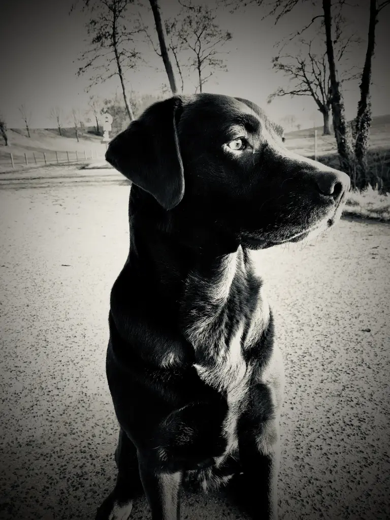 Bild von Betty