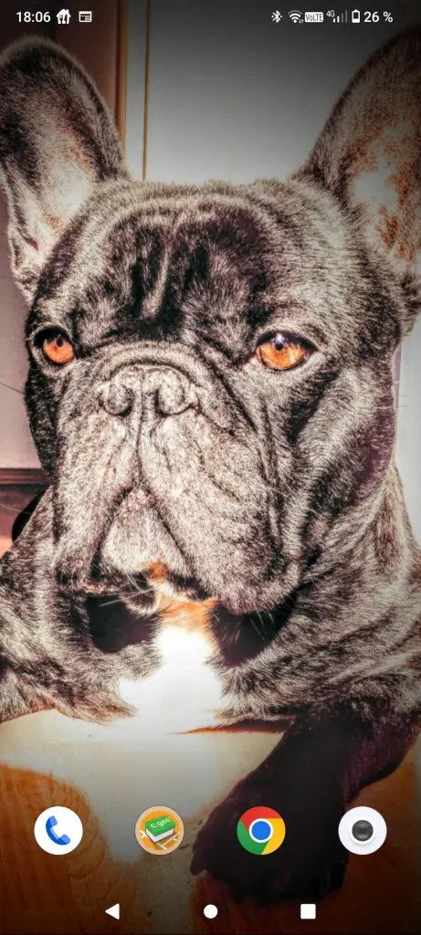 Bild von Don