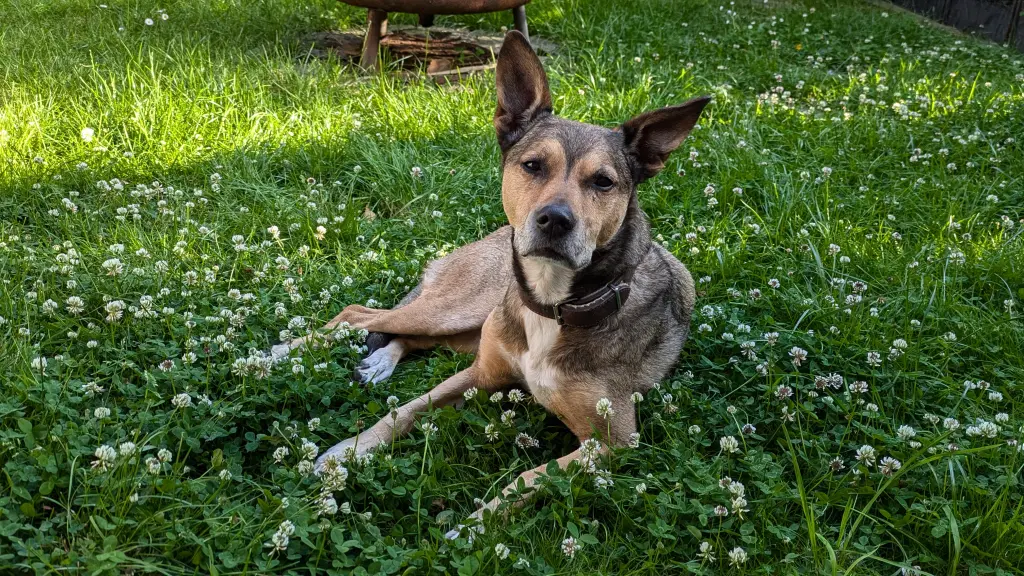 Bild von Abby