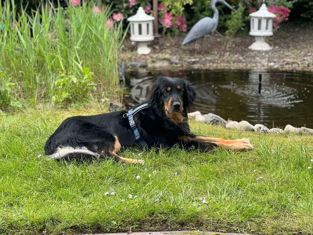 Bild von Lana
