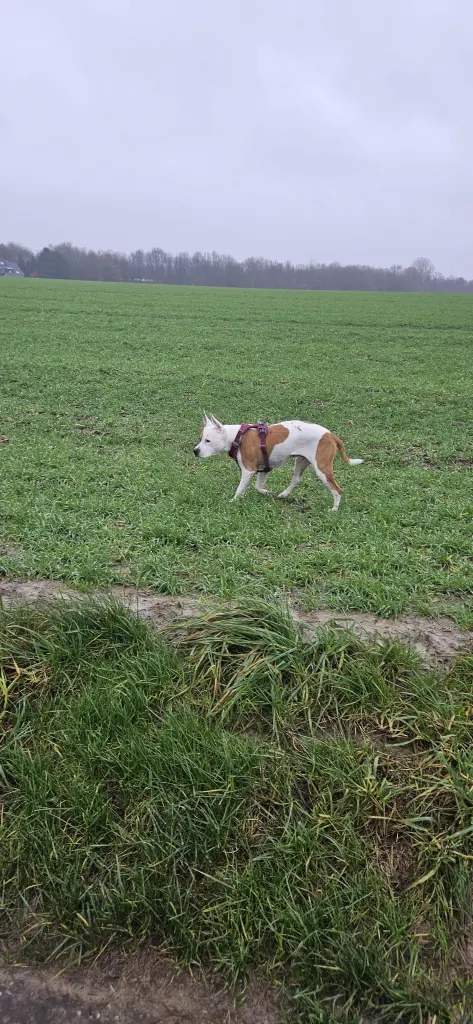 Bild von Flecki