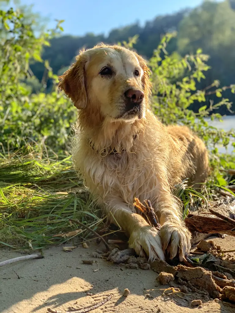 Bild von Bella
