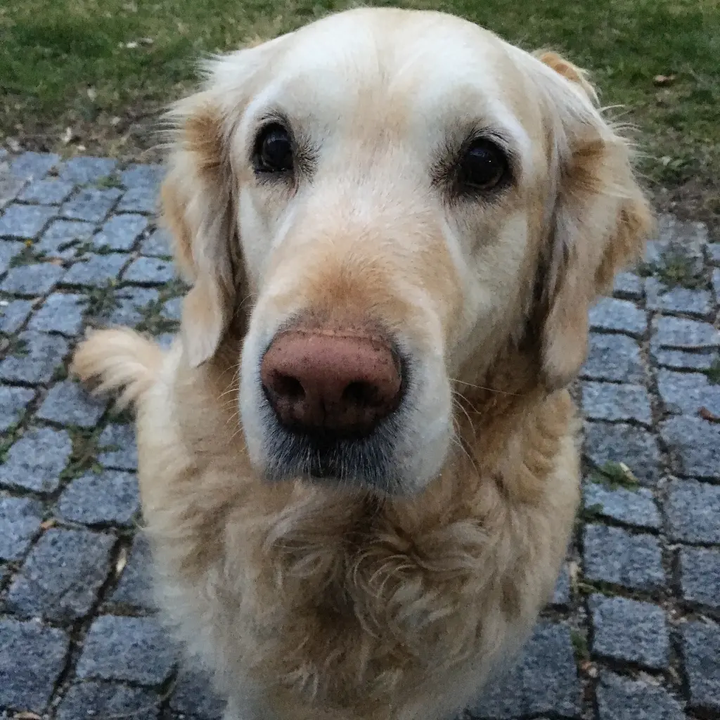 Bild von Bella