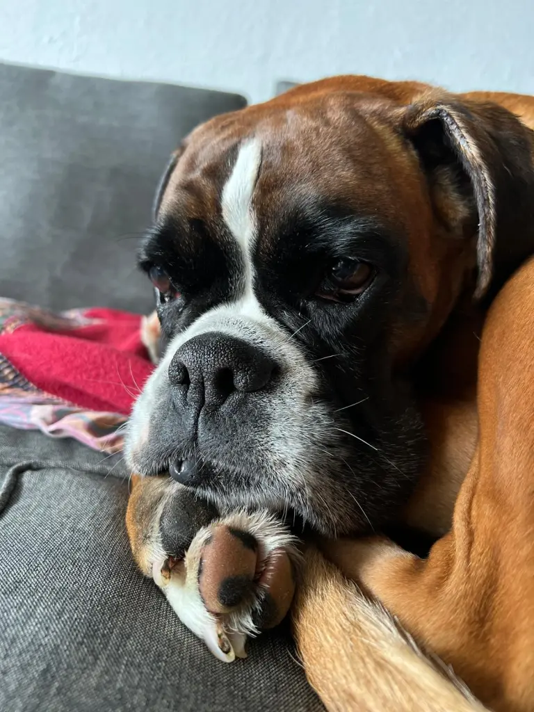 Bild von Carla