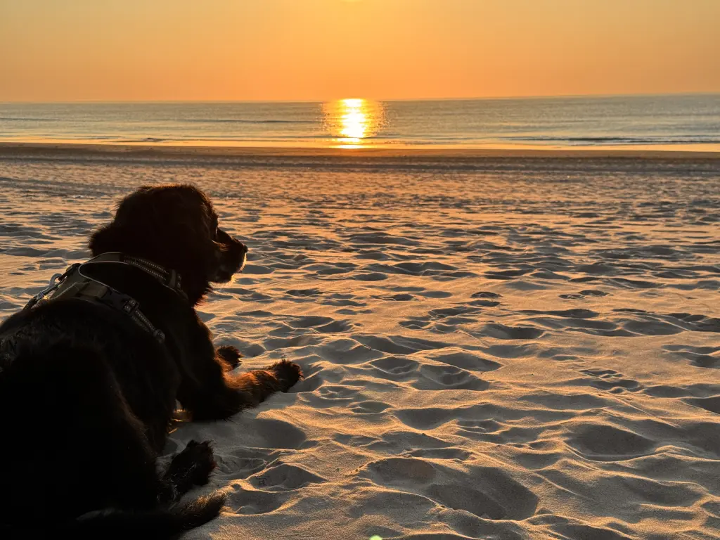 Unser letzter gemeinsamer Urlaub❤️