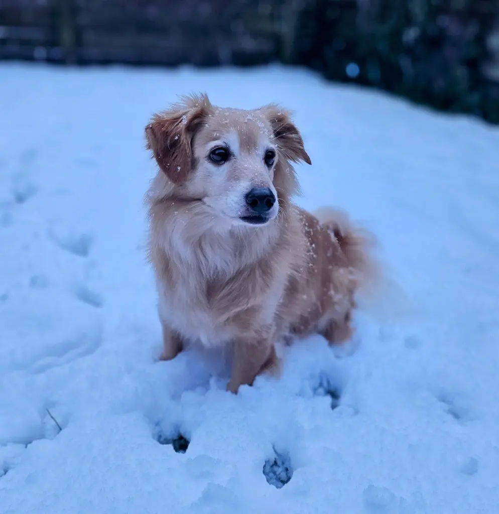 Bild von Fred