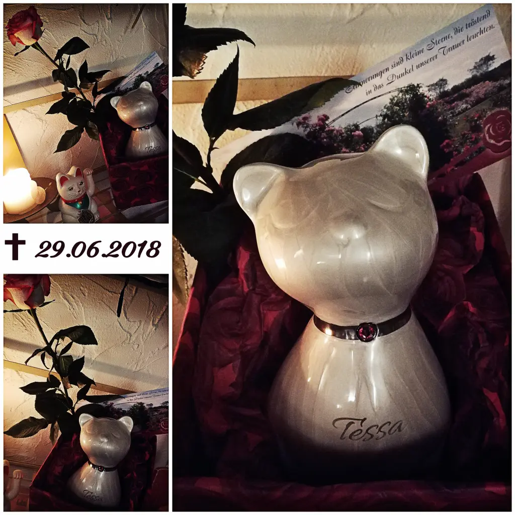 Image from Tessa