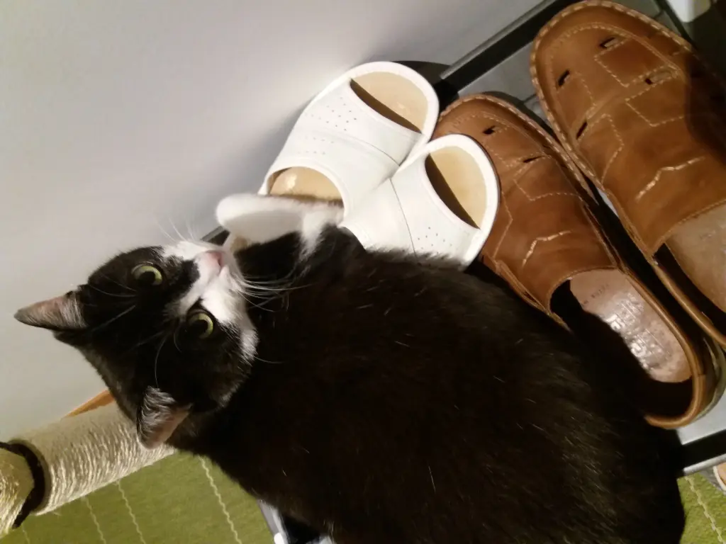 Bild von Felicitas