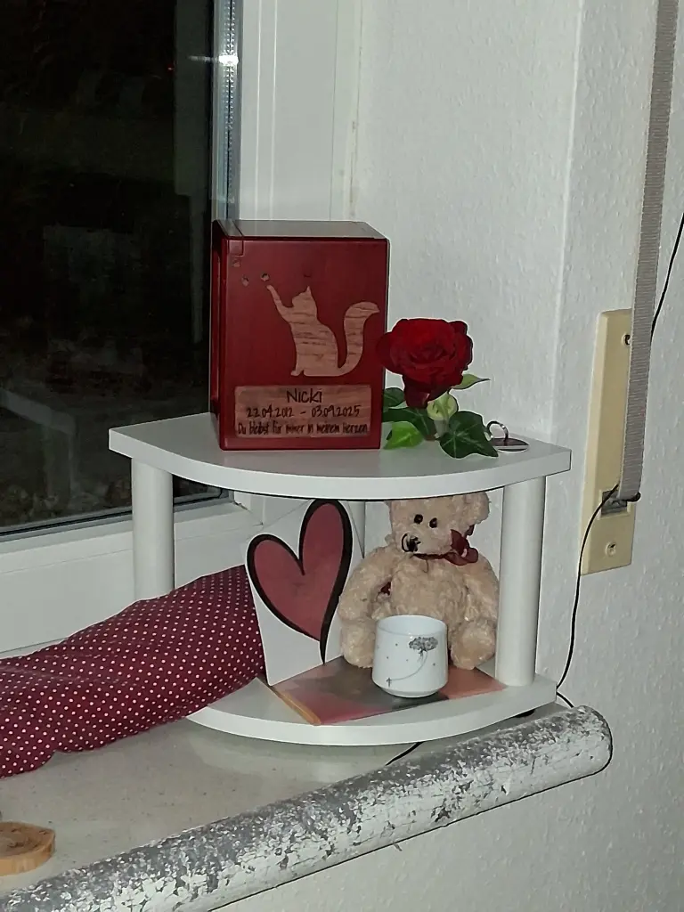 Bild von Nicki
