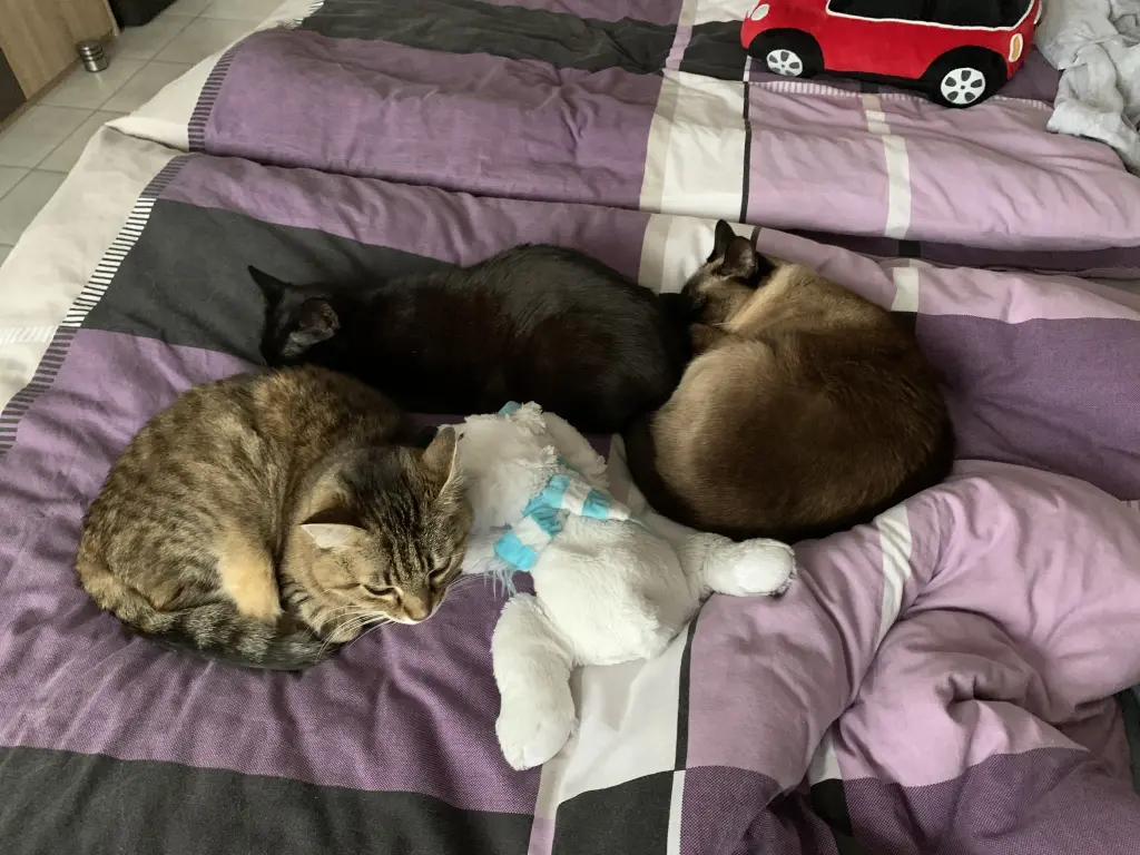Kira mit Winnie und Cindy