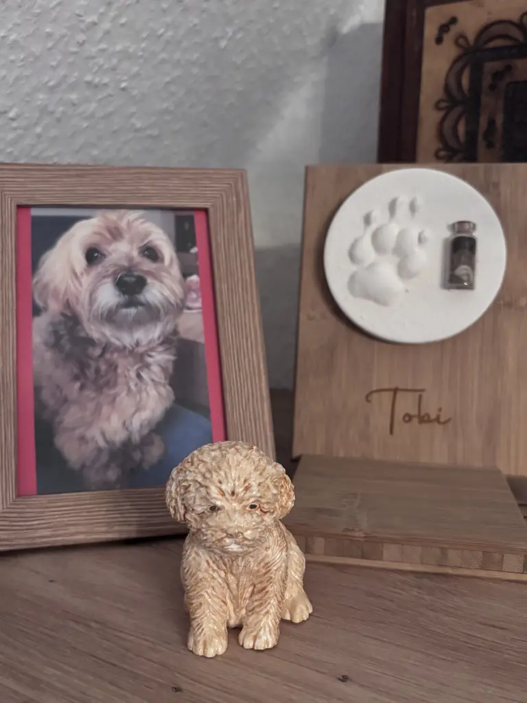 Bild von Tobi