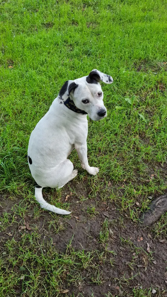 Bild von Bella