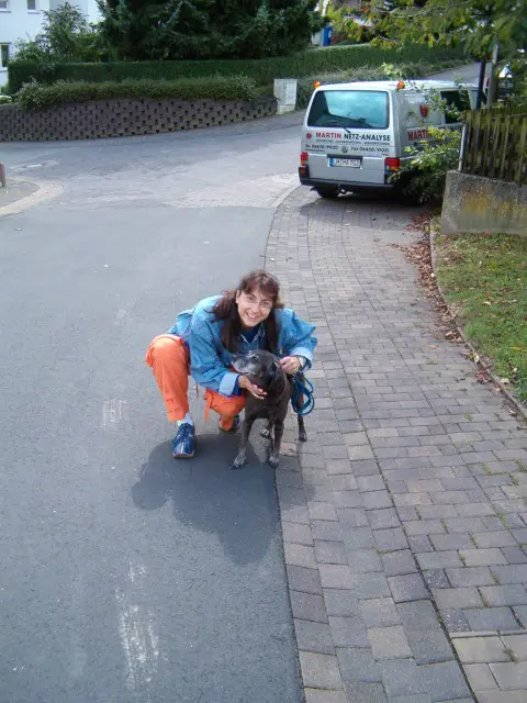 Image from Ingo