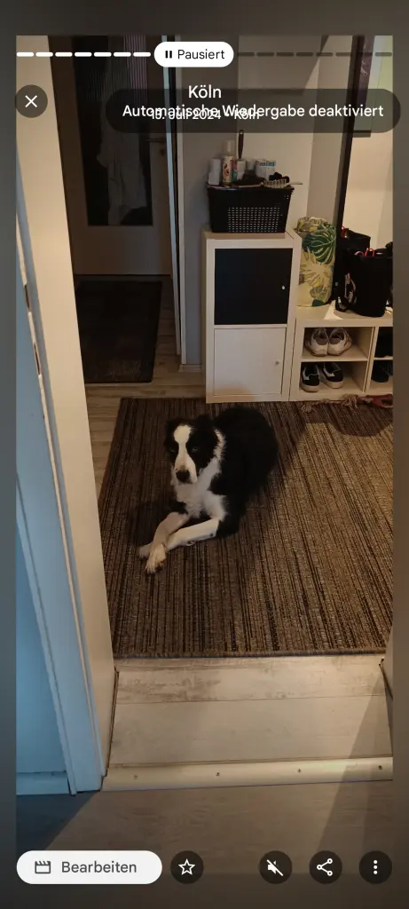 Meine Diva