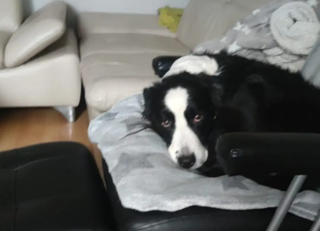 Mamas Stuhl der heimliche Lieblingsplatz