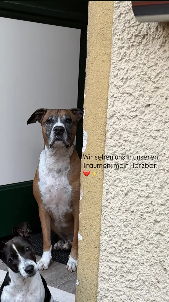 Bild von Mompi
