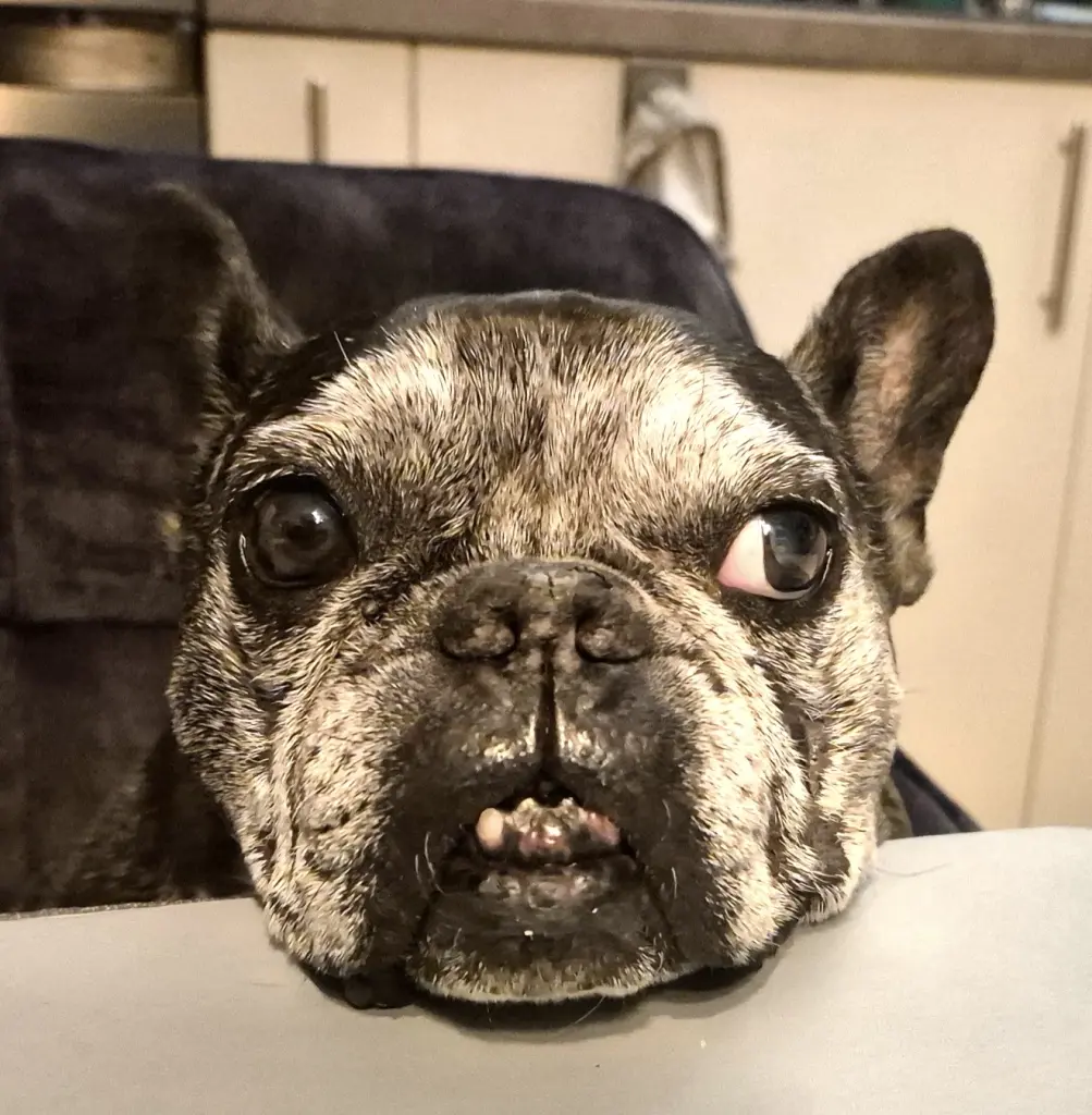 Bild von Lucky